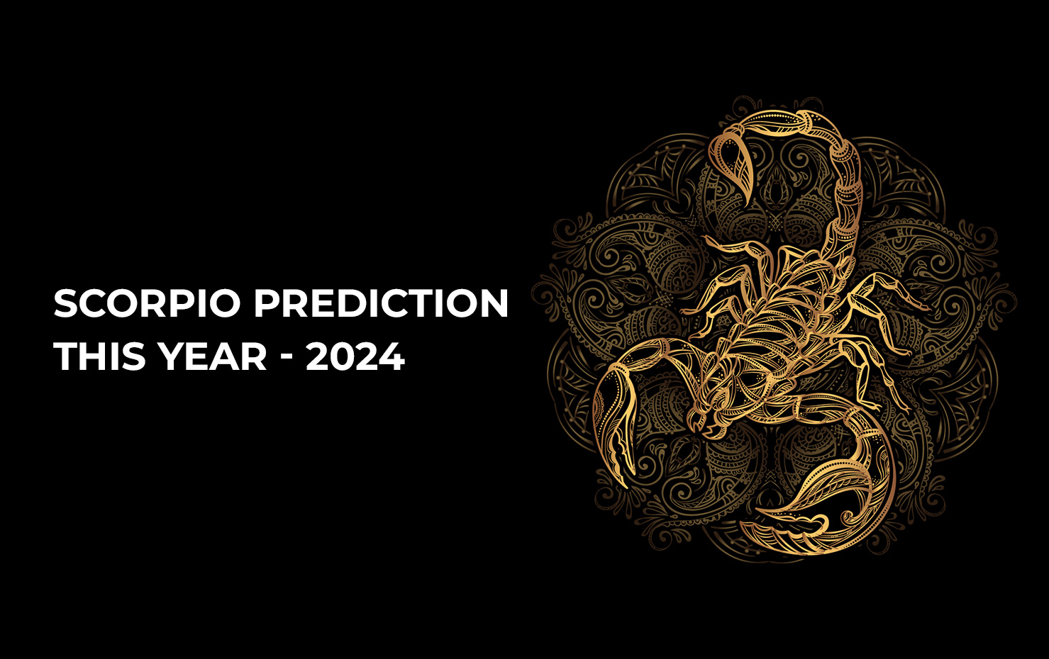 Scorpio Prediction This Year 2024